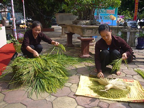 Hương cốm mùa thu